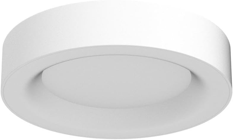 Annaror RGB Flush Mount Ceiling Light with Remote Control, 2400LM Dimmable Ceiling Light Fixture, 3000K-6500K Modern Low Profile Ceiling Lights for Bedroom Kids Room, 11in White